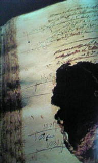 Image303.jpg