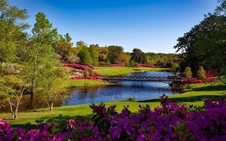 bellingrath-gardens-1612728__340.jpg