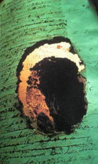 Image302.jpg